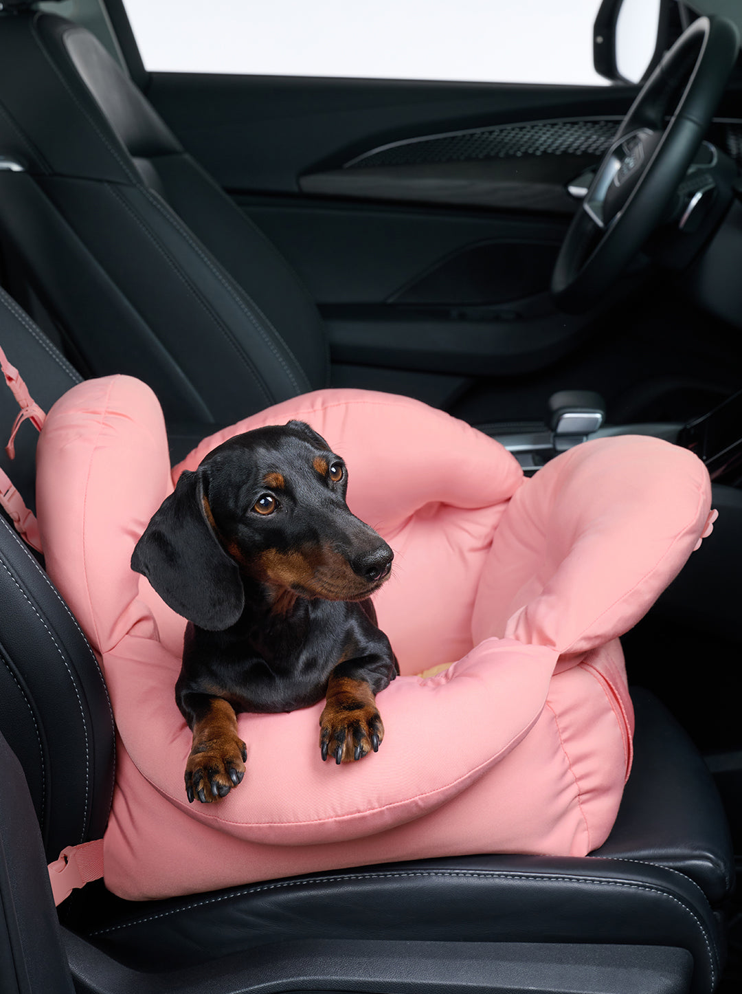 Flora Car Seat Pet Carrier (NEW)