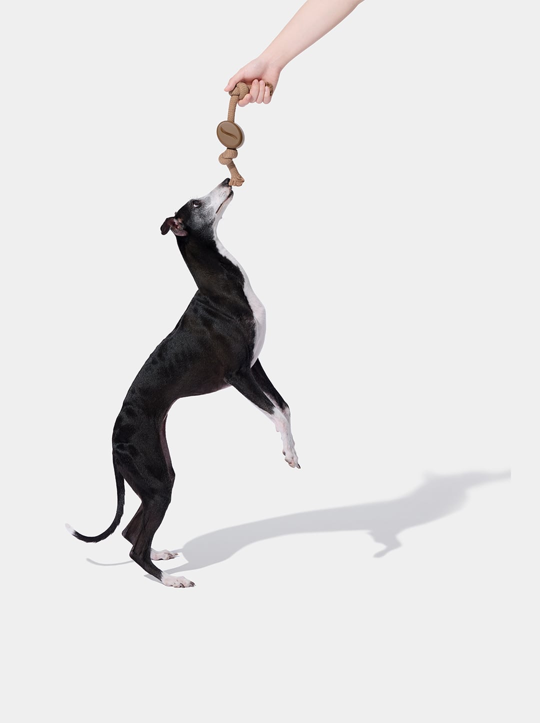 Coffee Playful Charm Knot Rope Toy