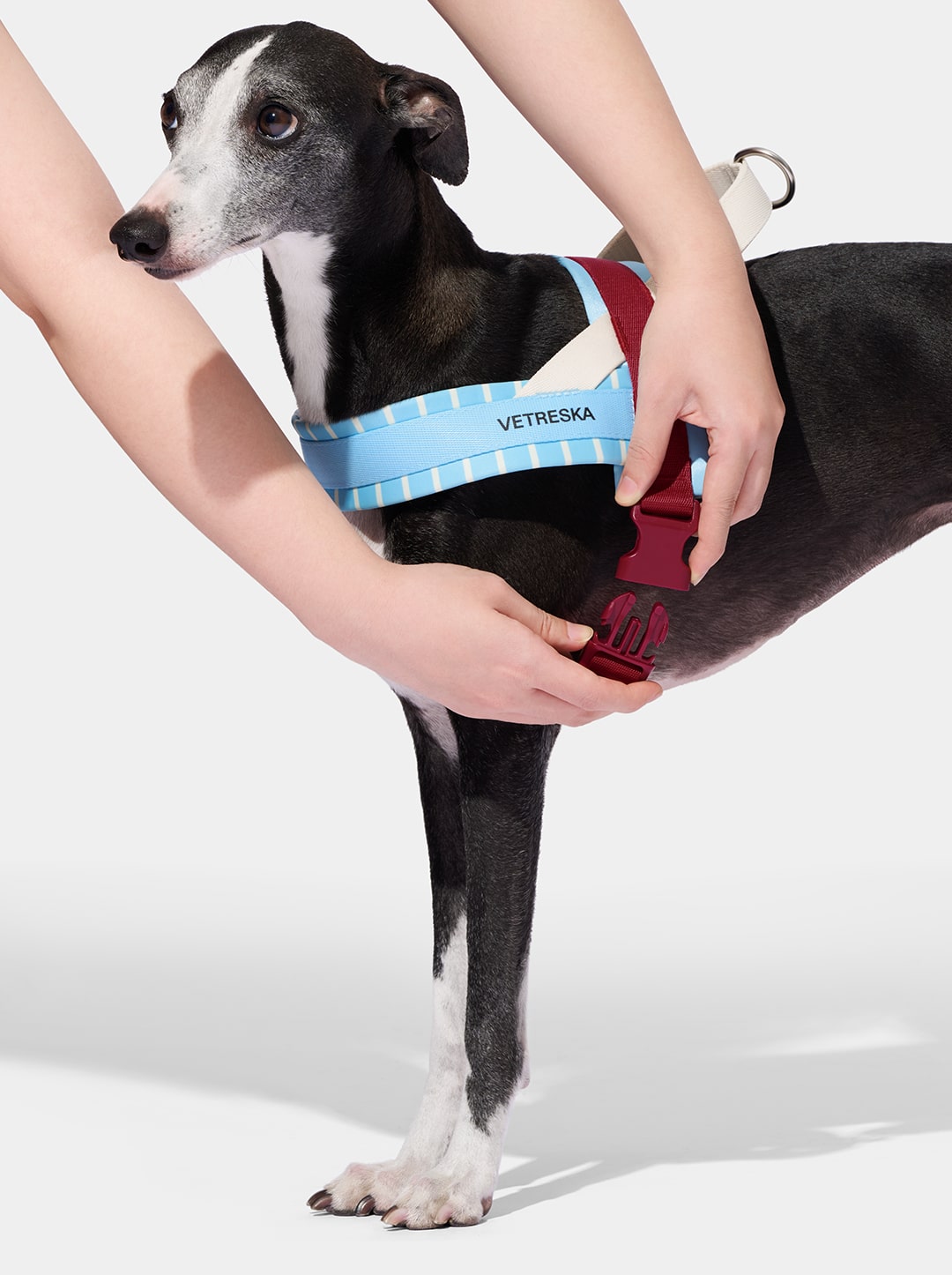 Mist And Merlot Pet Harness & Leash Set