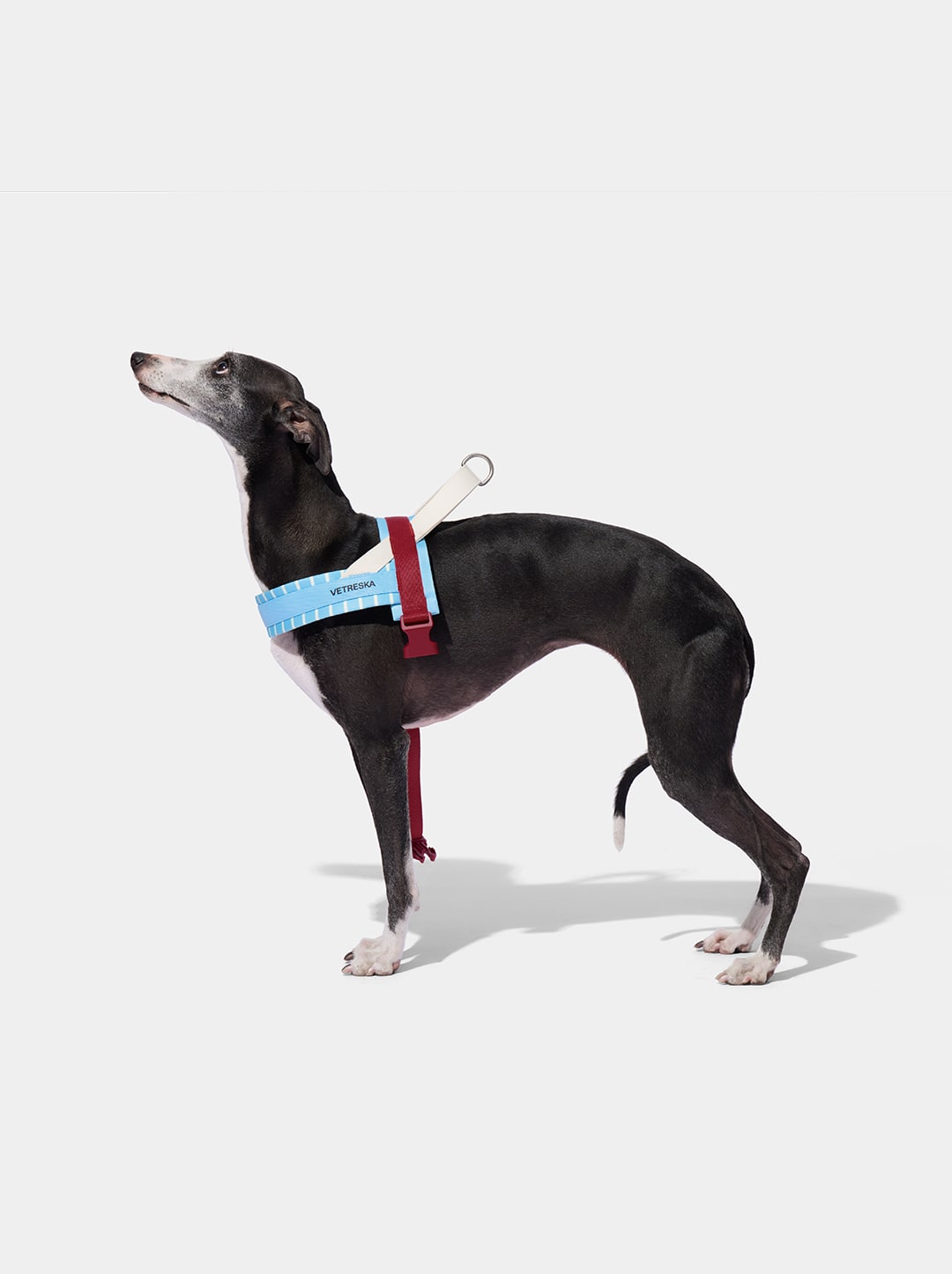 Mist And Merlot Pet Harness & Leash Set