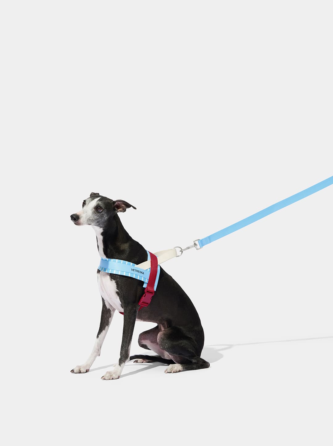 Mist And Merlot Pet Harness & Leash Set