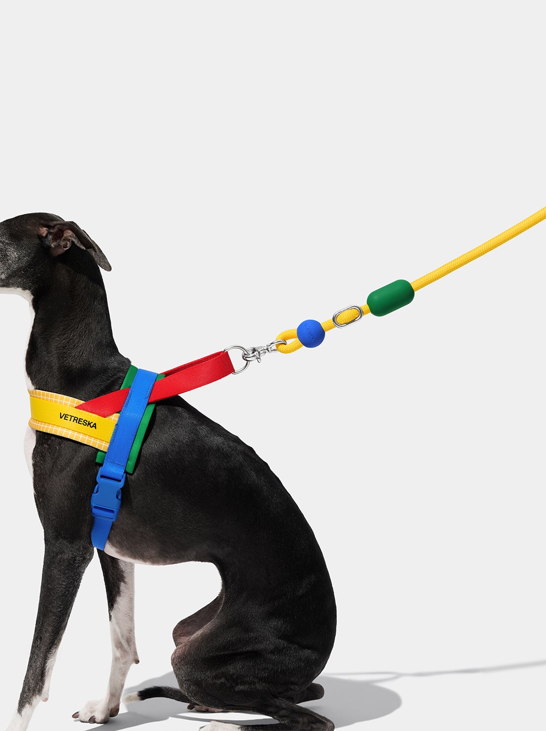 Chroma Connect Hands-Free Rope Leash