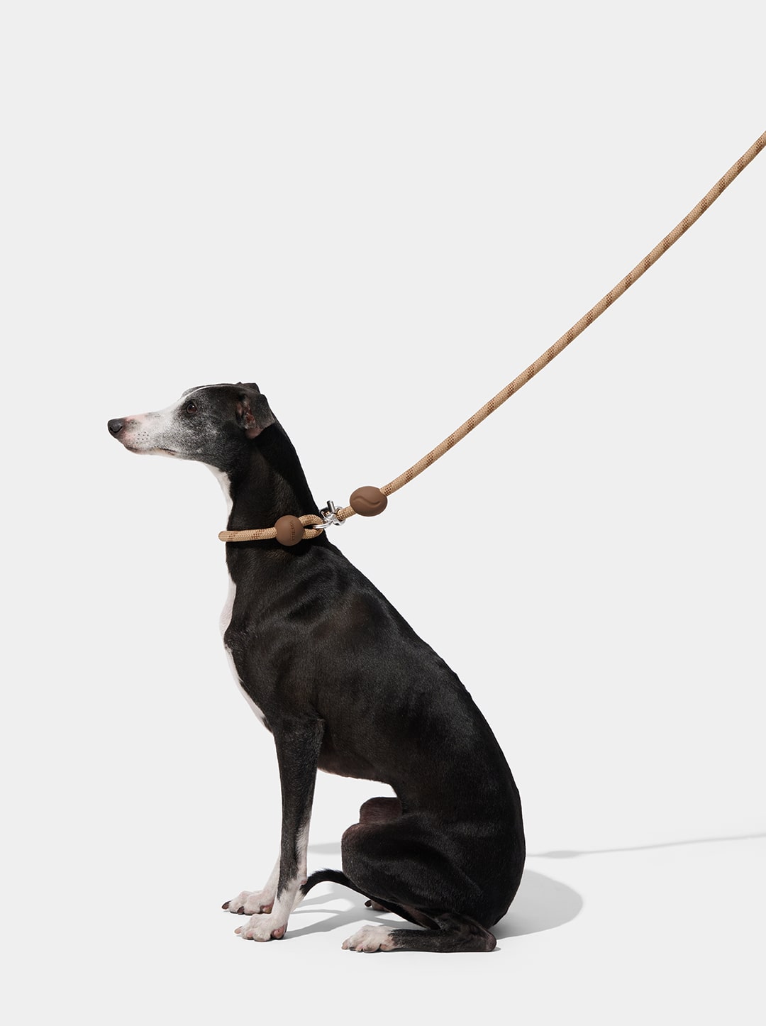Coffee Connect Hands-Free Rope Leash