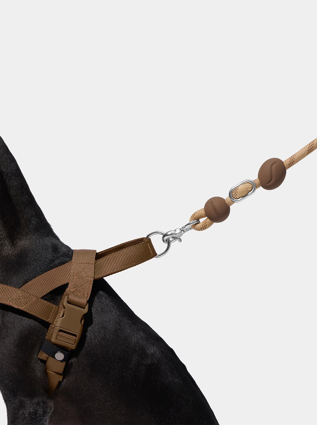 Coffee Connect Hands-Free Rope Leash