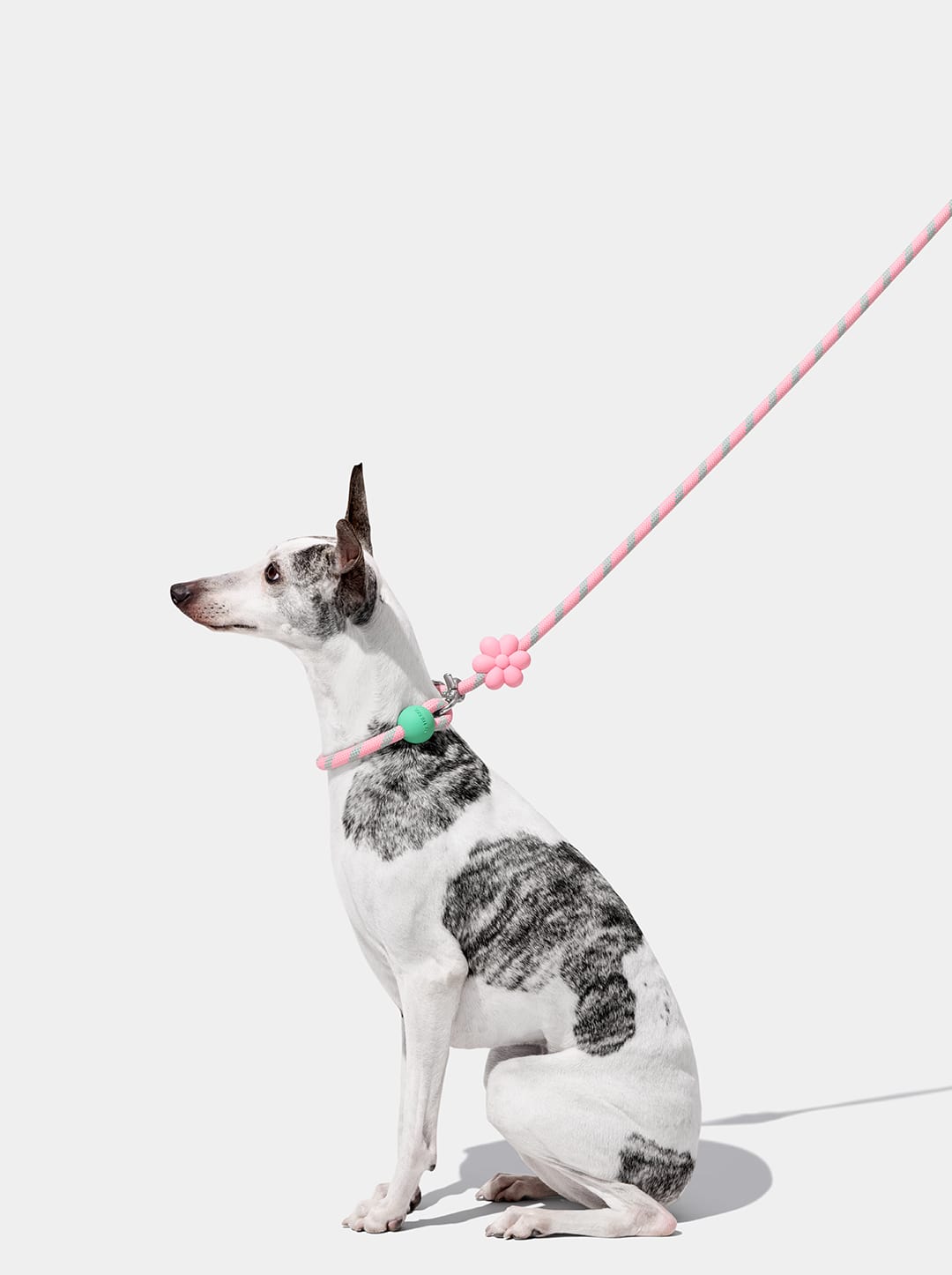Flora Connect Hands-Free Rope Leash