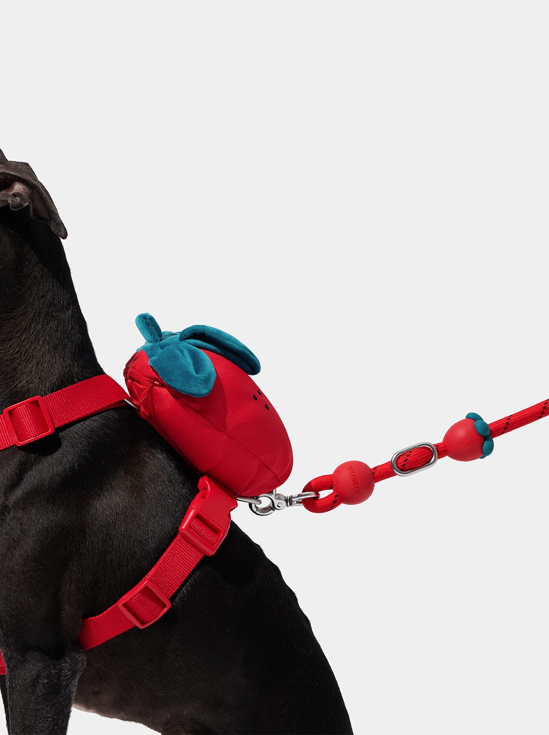 Strawberry Connect Hands-Free Rope Leash
