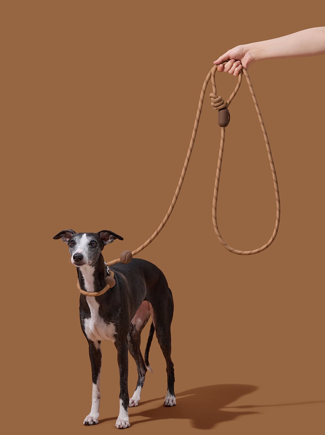 Coffee Connect Hands-Free Rope Leash