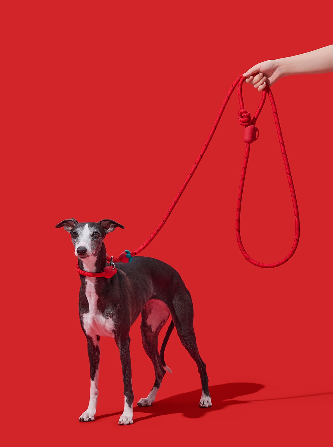 Strawberry Connect Hands-Free Rope Leash