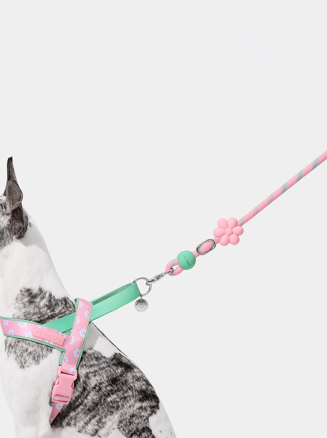 Flora Connect Hands-Free Rope Leash