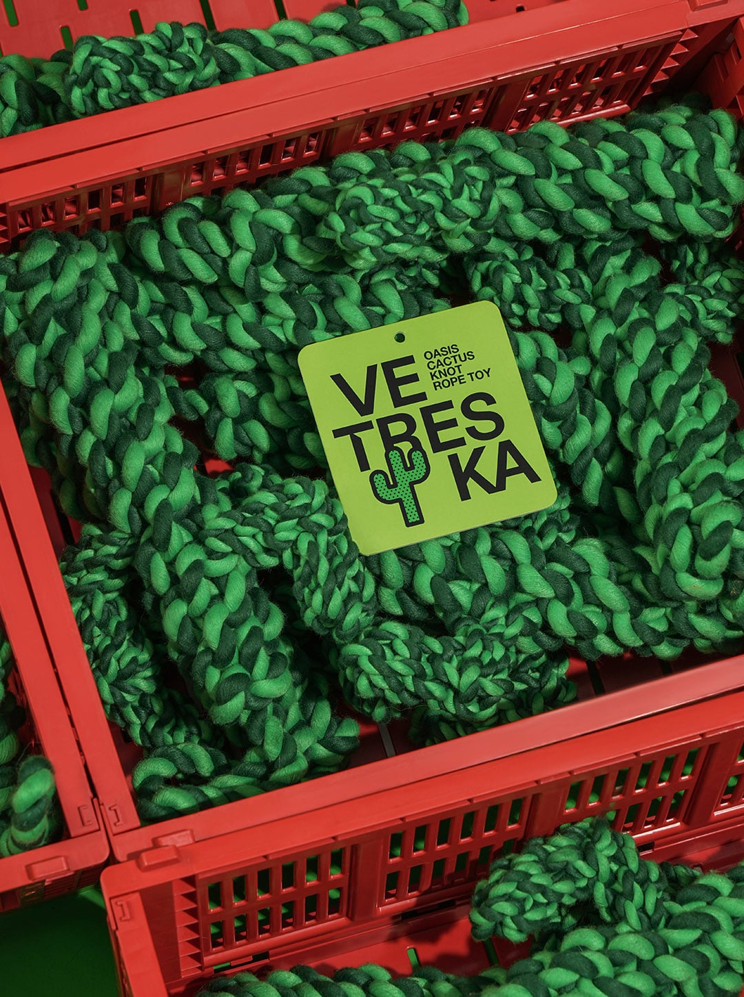 Oasis Cactus Knot Rope Toy