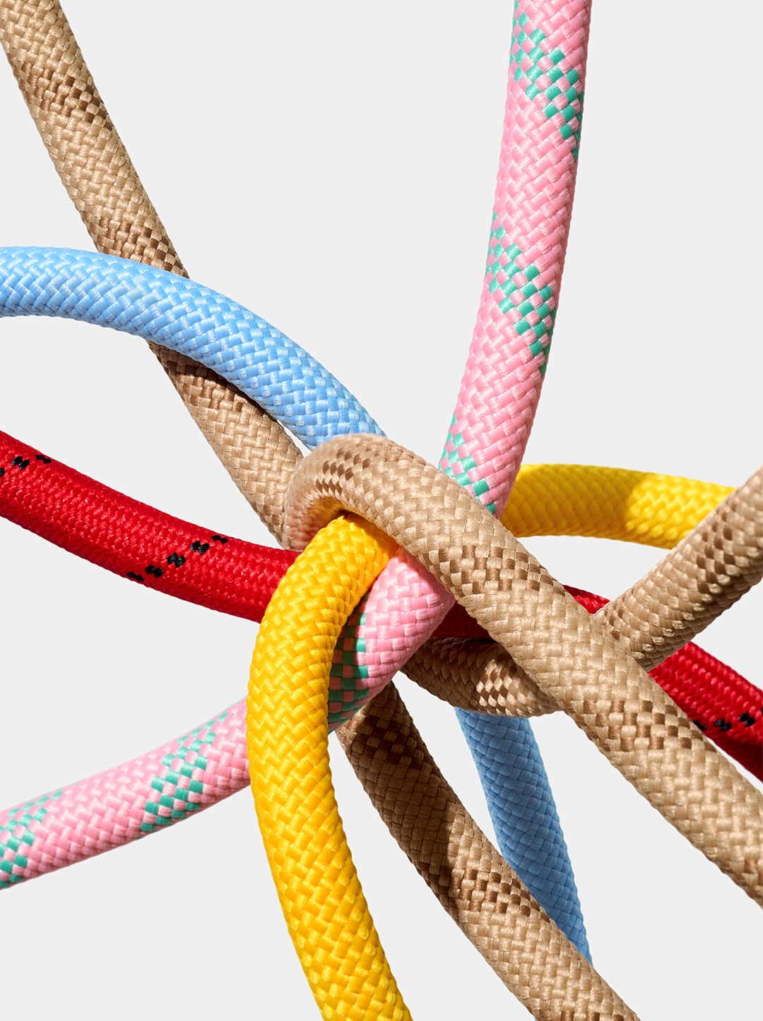 Chroma Connect Hands-Free Rope Leash