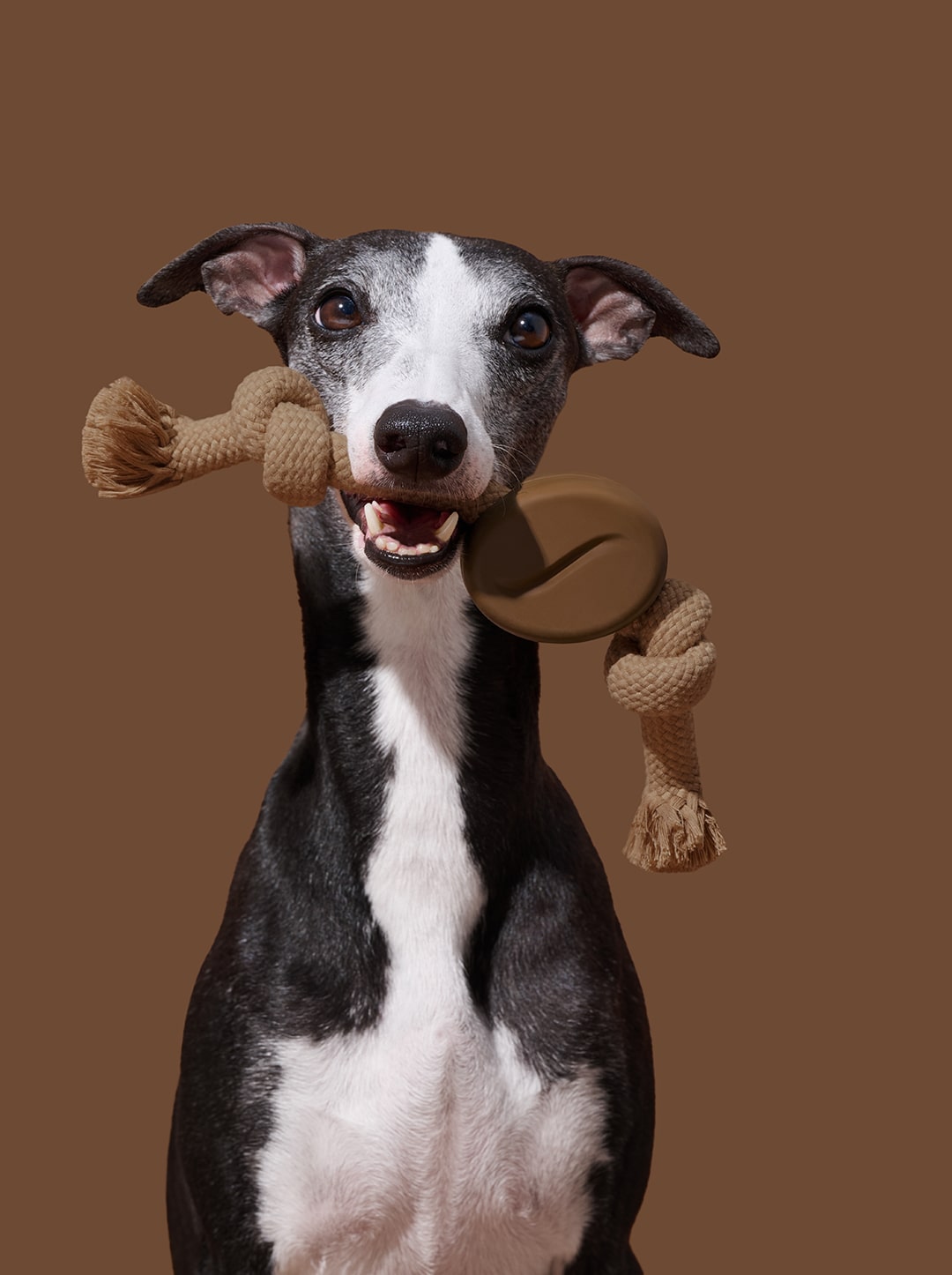 Coffee Playful Charm Knot Rope Toy