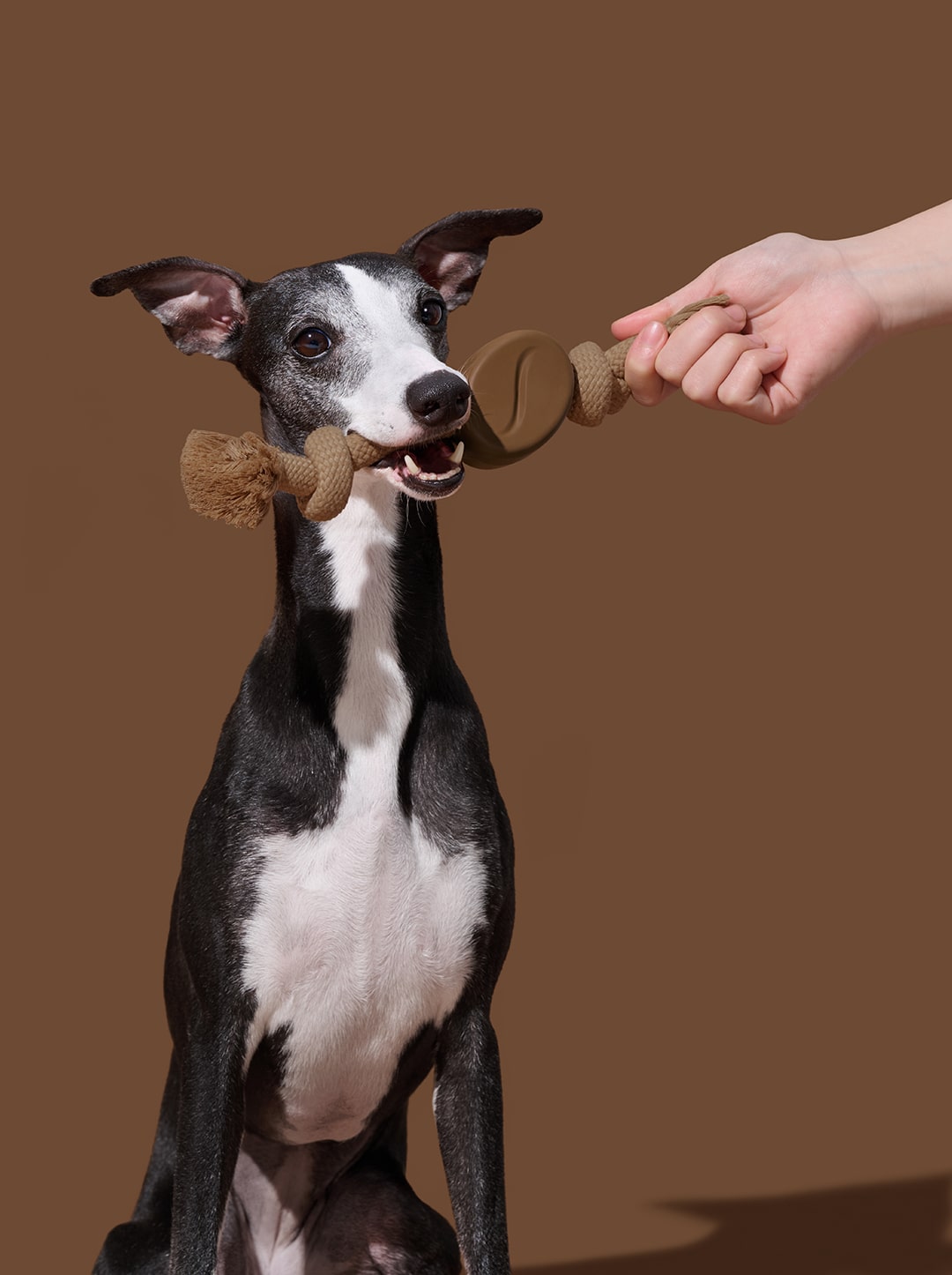 Coffee Playful Charm Knot Rope Toy