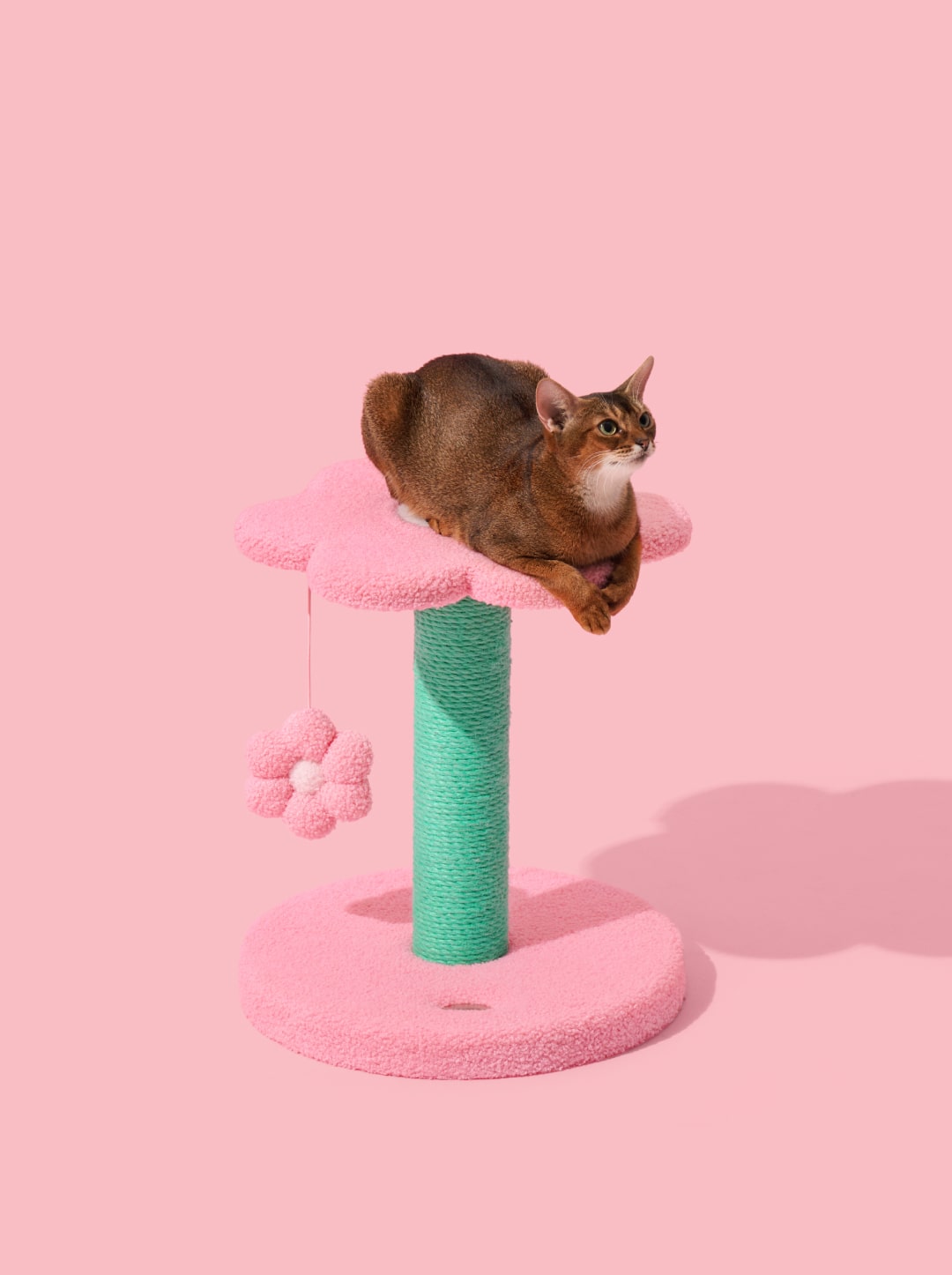 Flora Cat Climber (Two Platforms)