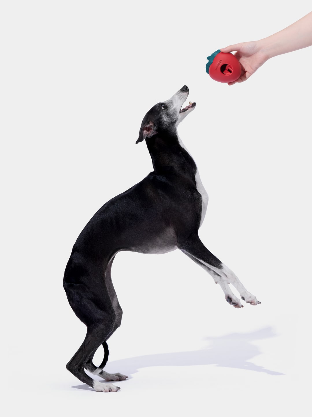 Strawberry Pet Treat Dispensing Toy