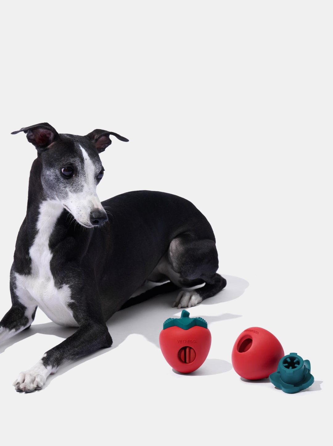 Strawberry Pet Treat Dispensing Toy
