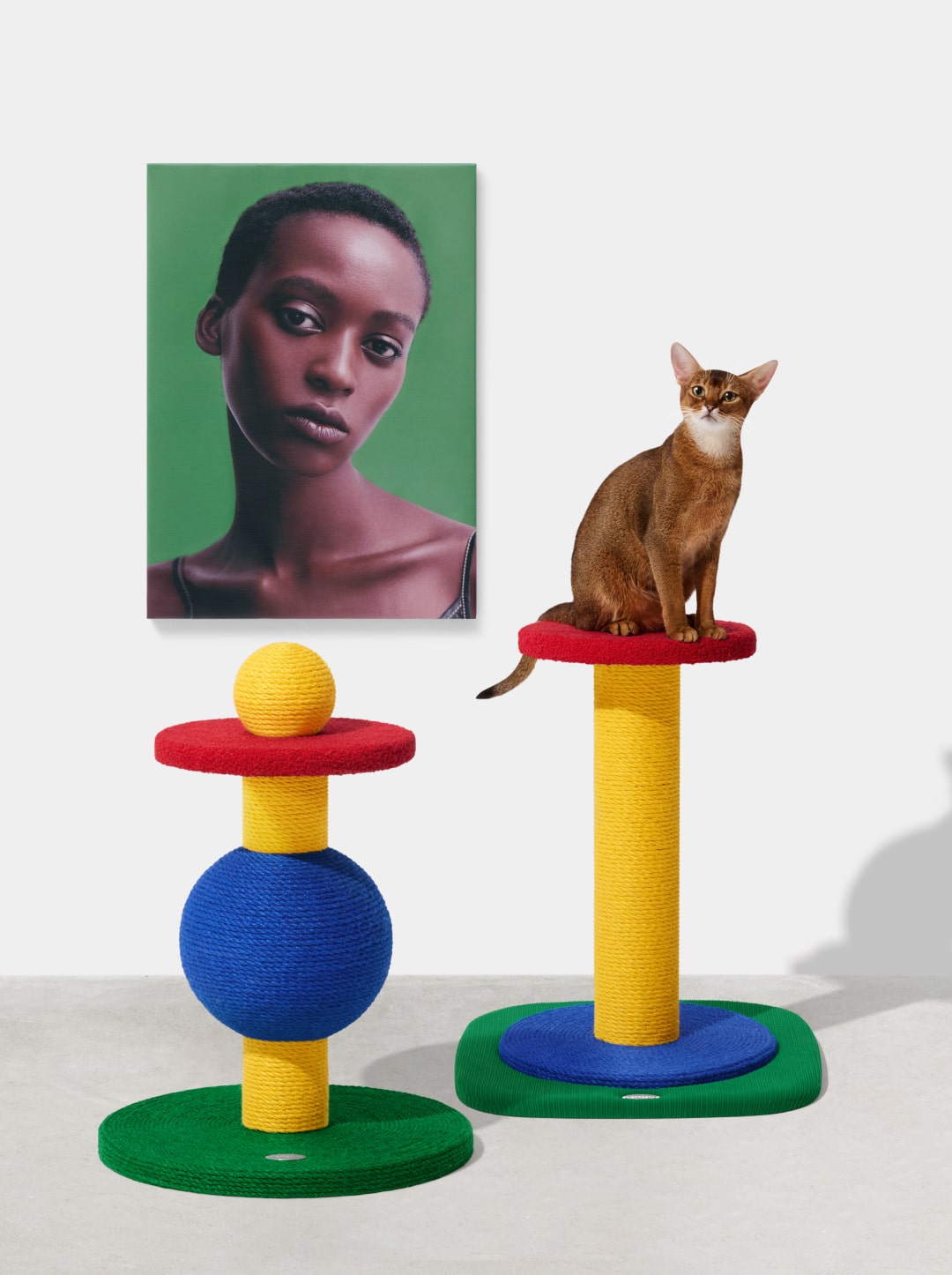 Chroma Cat Scratcher (Playful Ball)