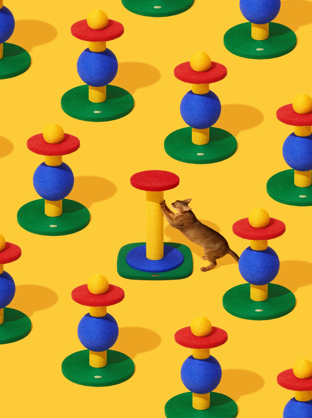 Chroma Cat Scratcher (Playful Ball)