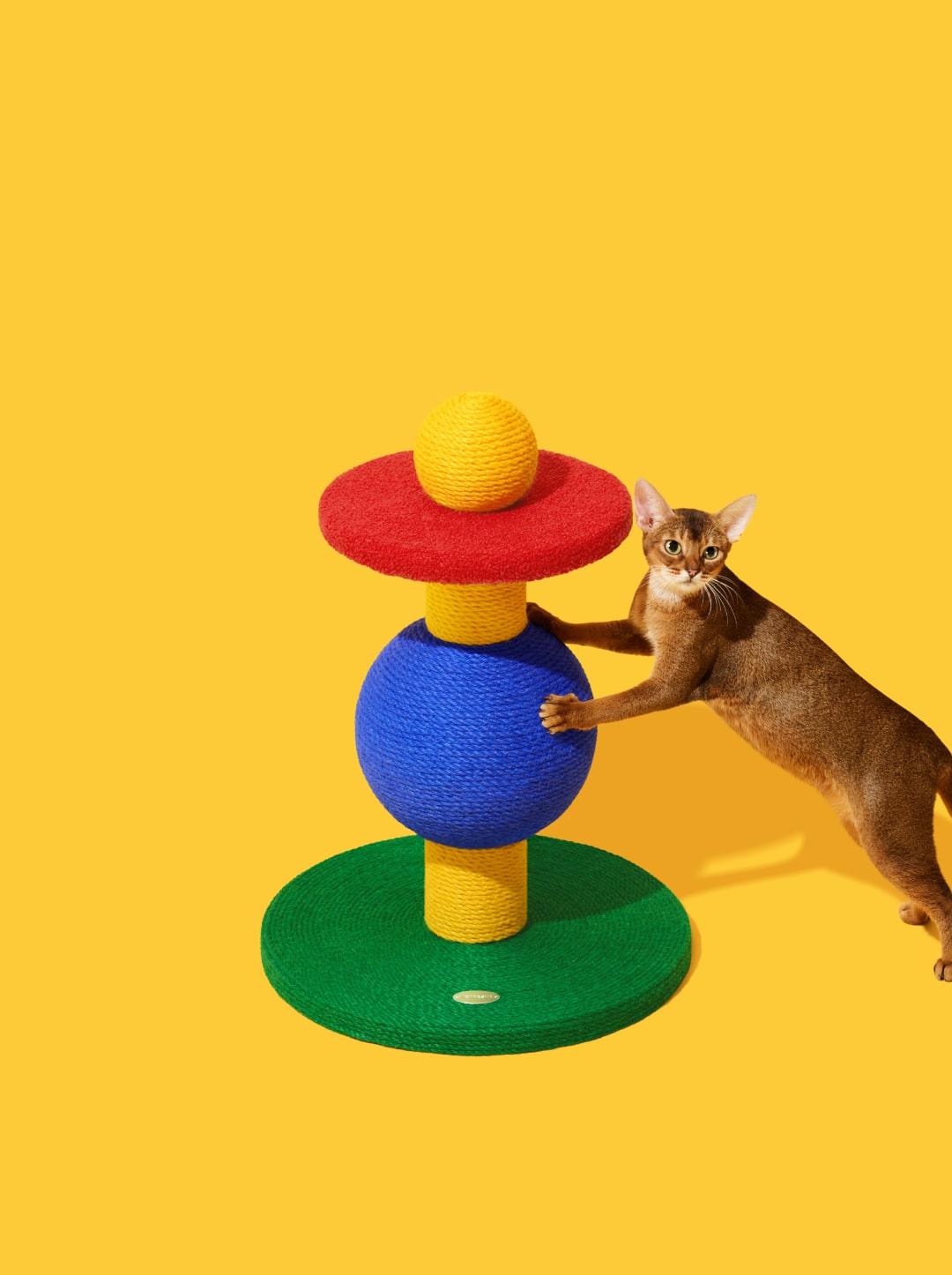 Chroma Cat Scratcher (Playful Ball)