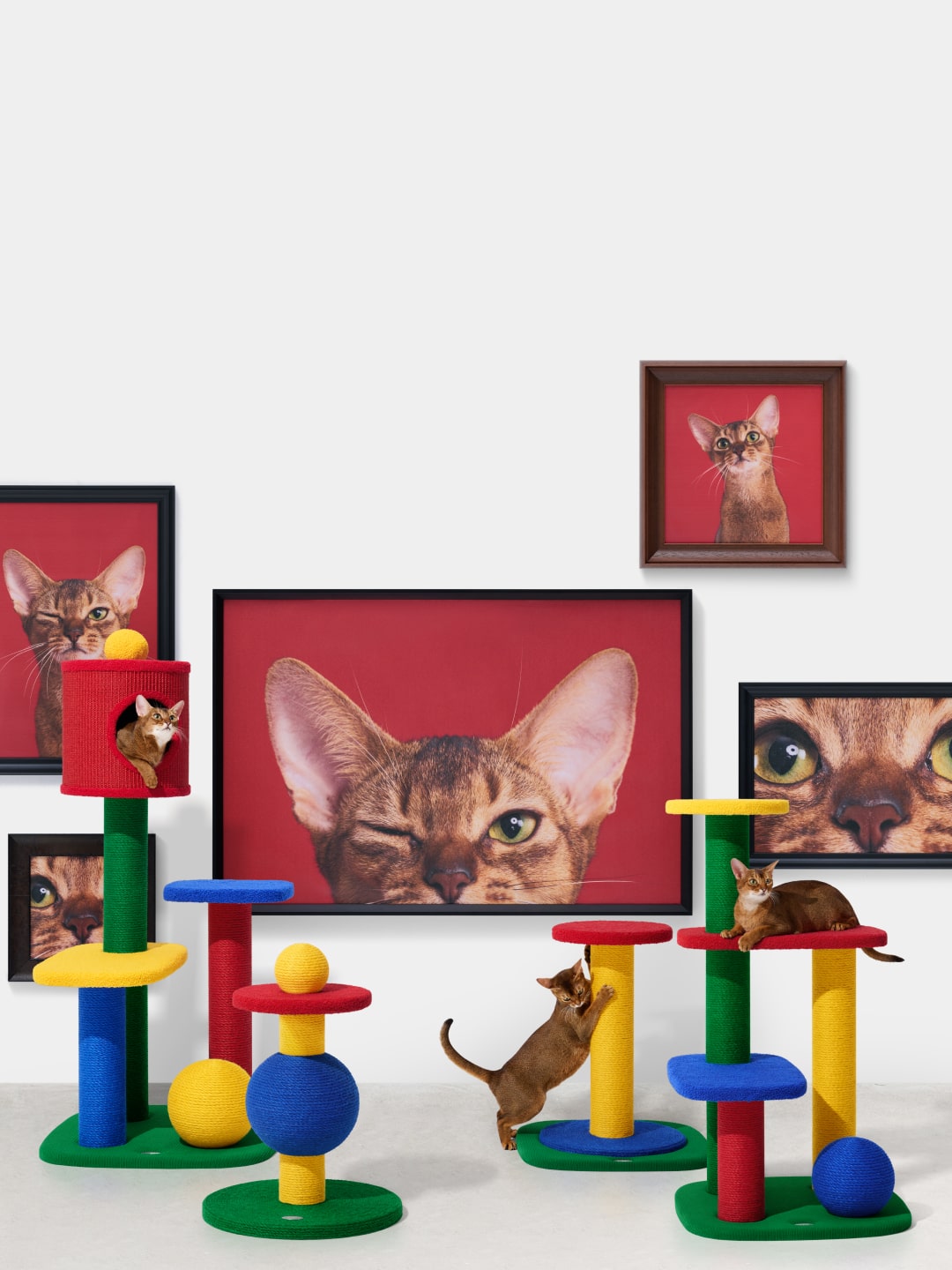 Chroma Cat Climber (Enclosed Top)