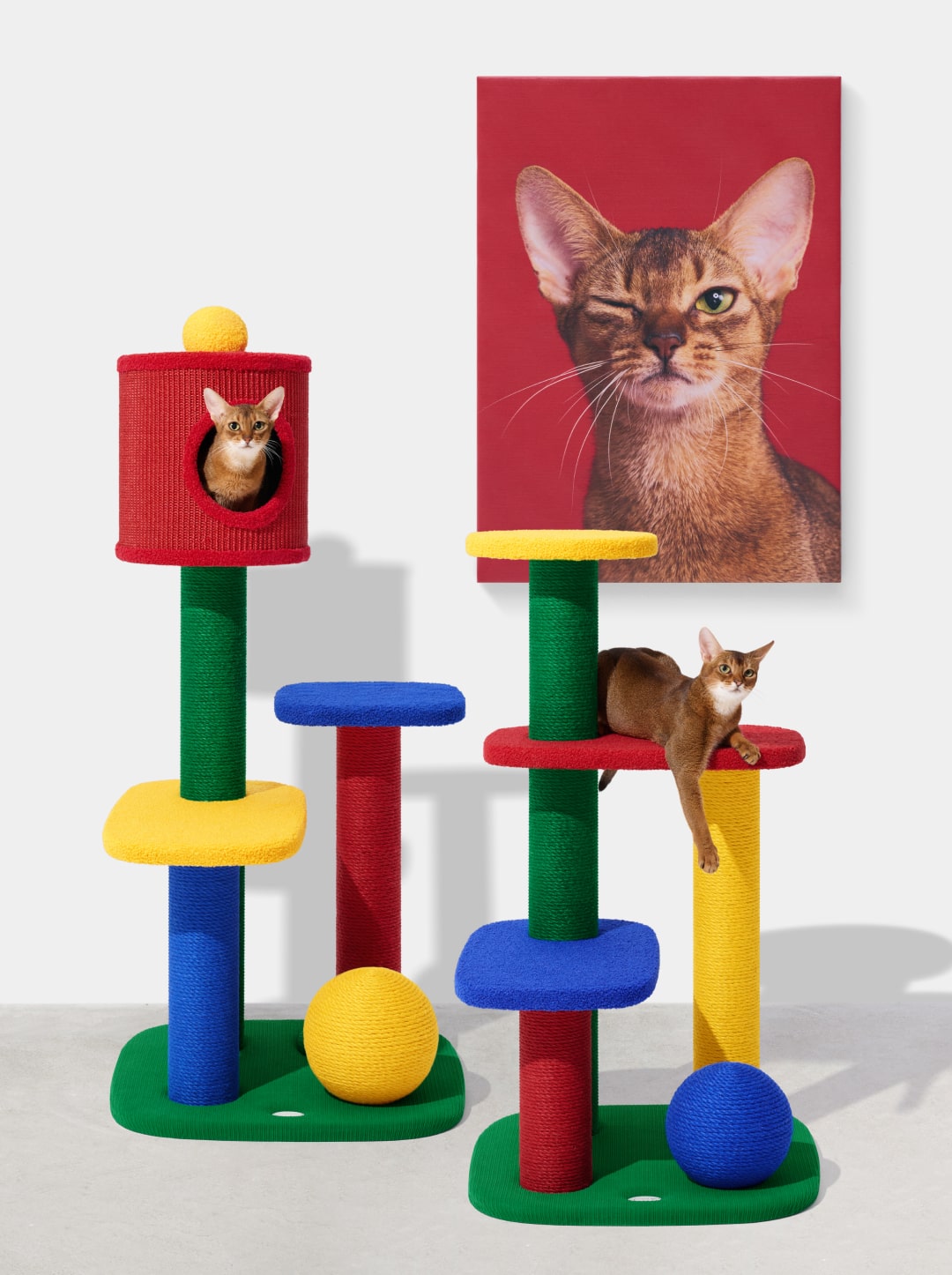 Chroma Cat Climber (Enclosed Top)