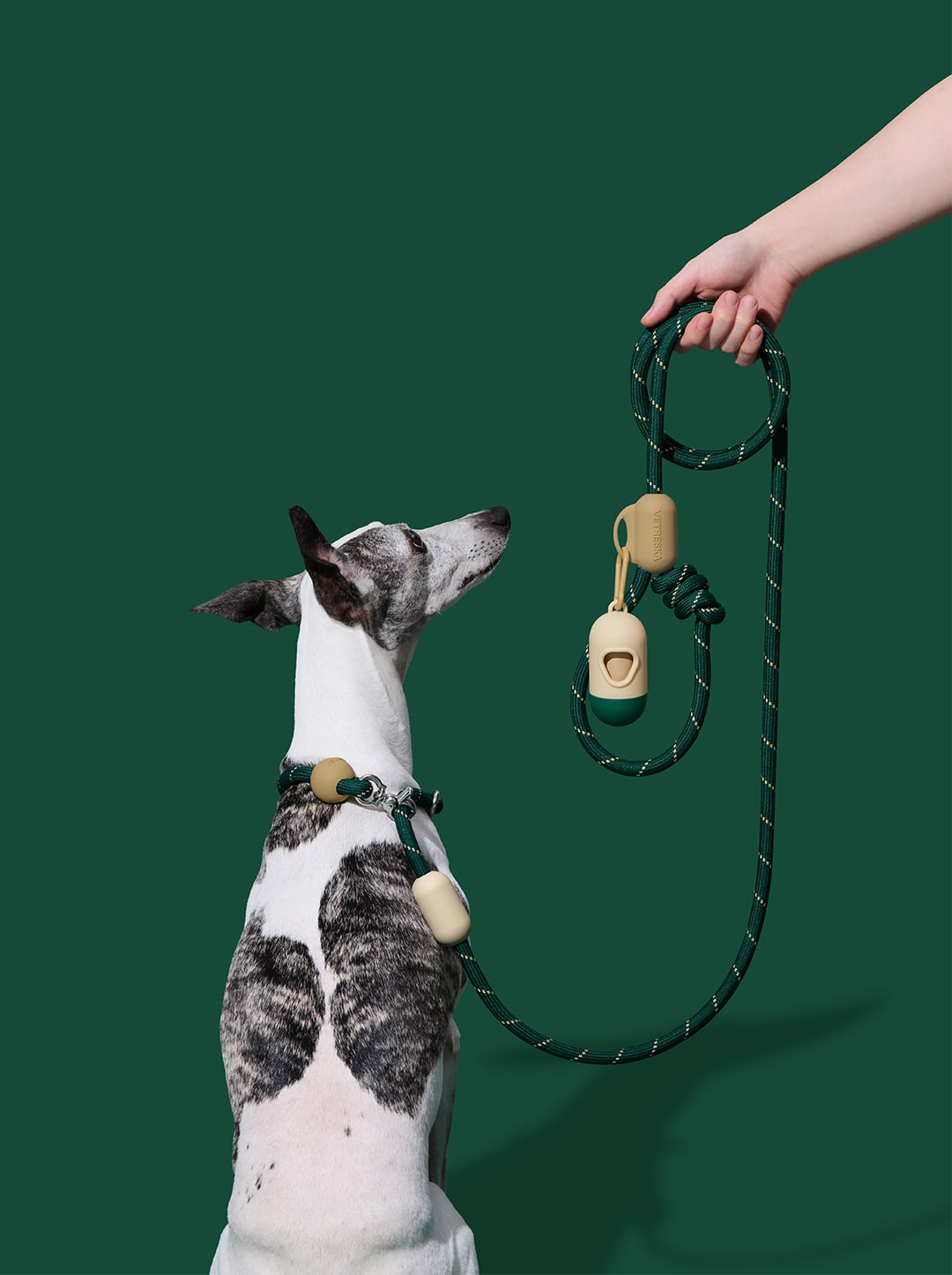 Santal Forest Connect Hands-Free Rope Leash