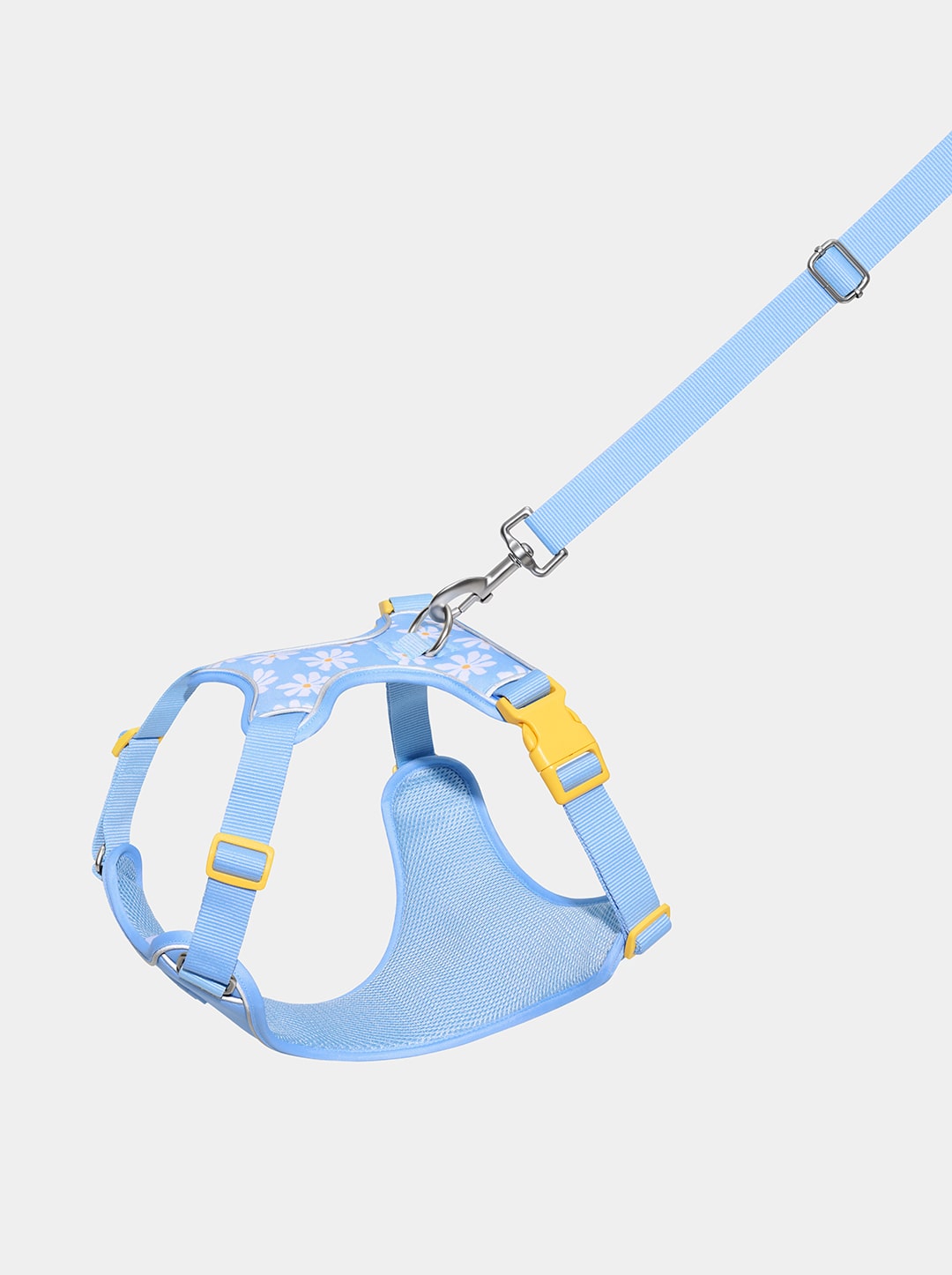 Daisy Pet Harness & Leash Set