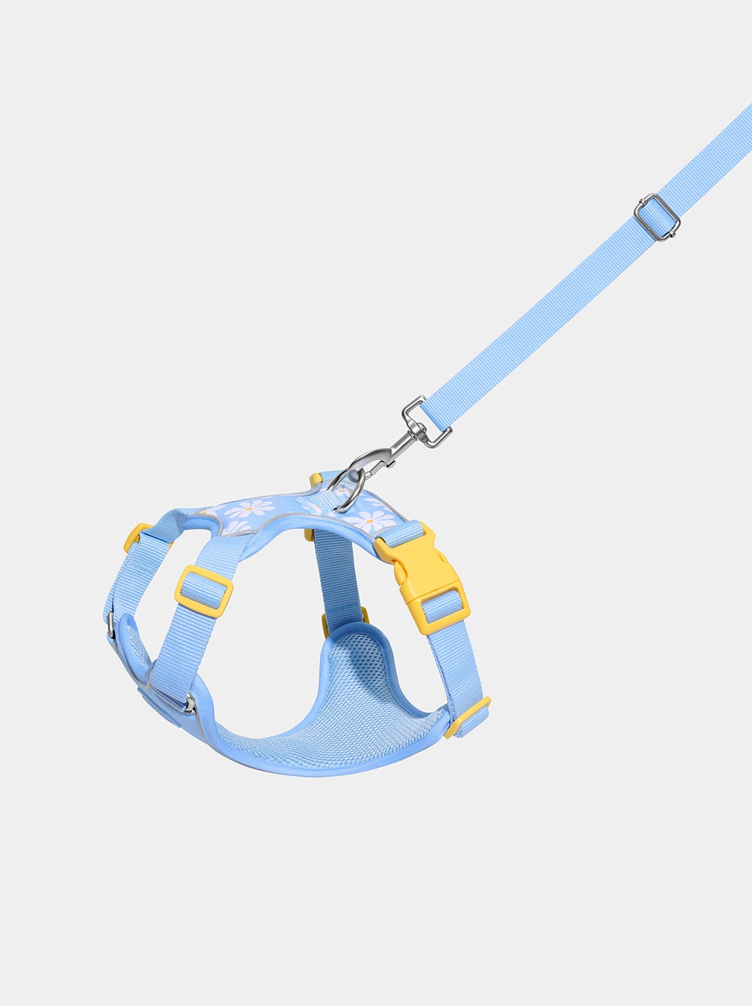 Daisy Pet Harness & Leash Set