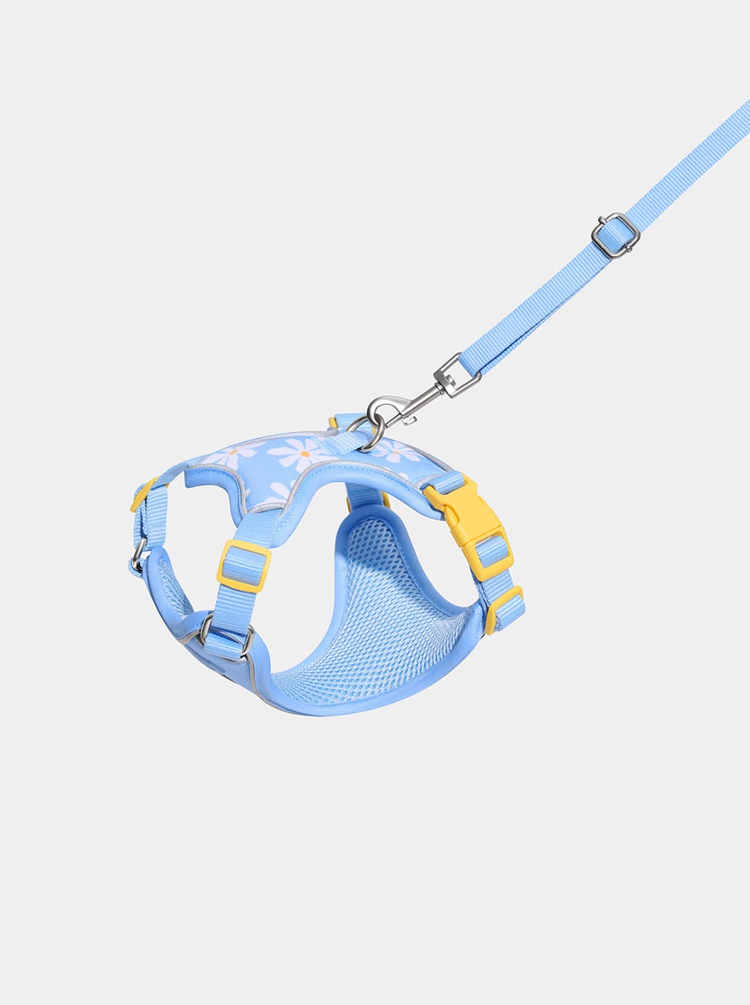 Daisy Pet Harness & Leash Set