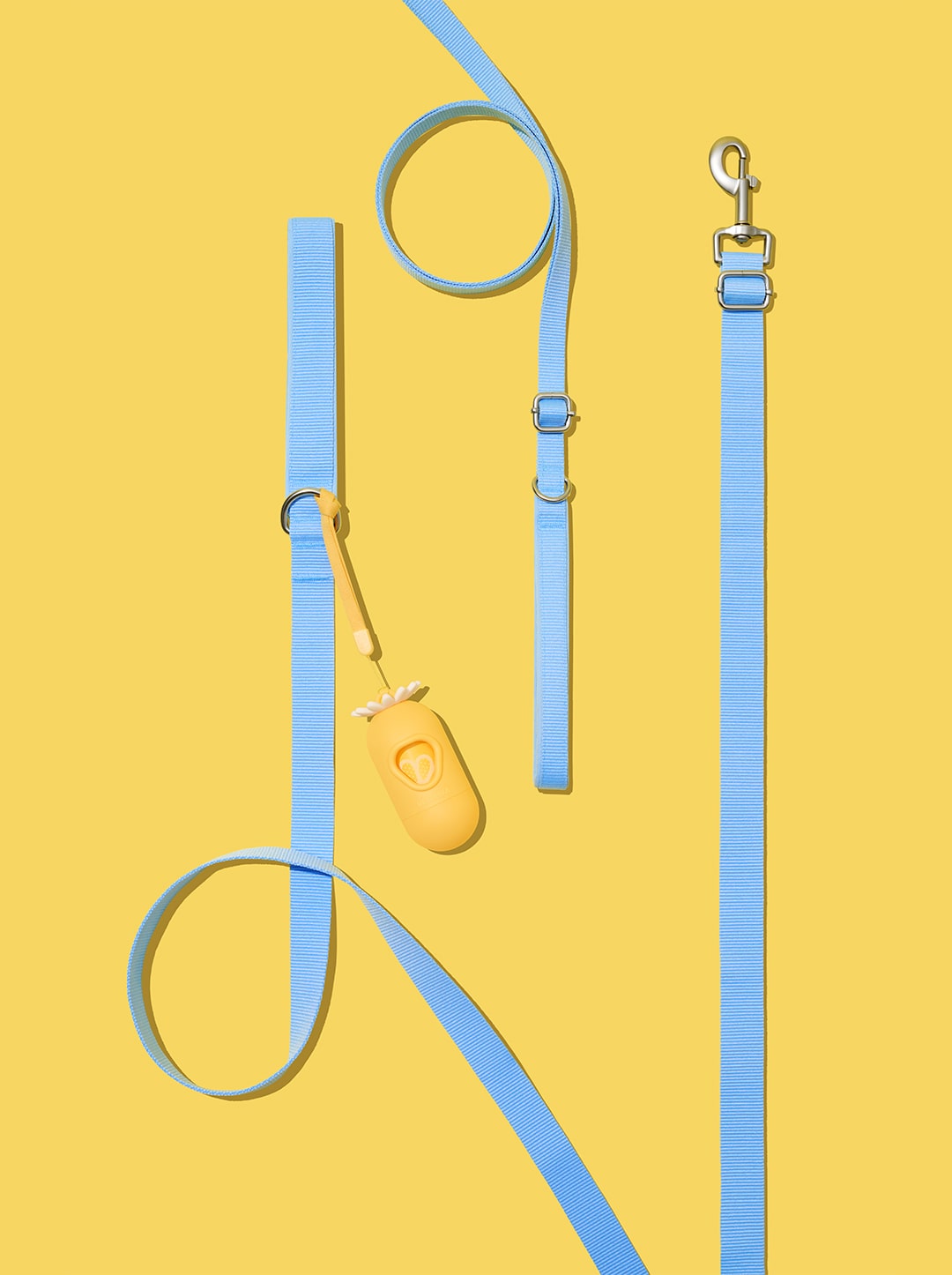 Daisy Pet Harness & Leash Set