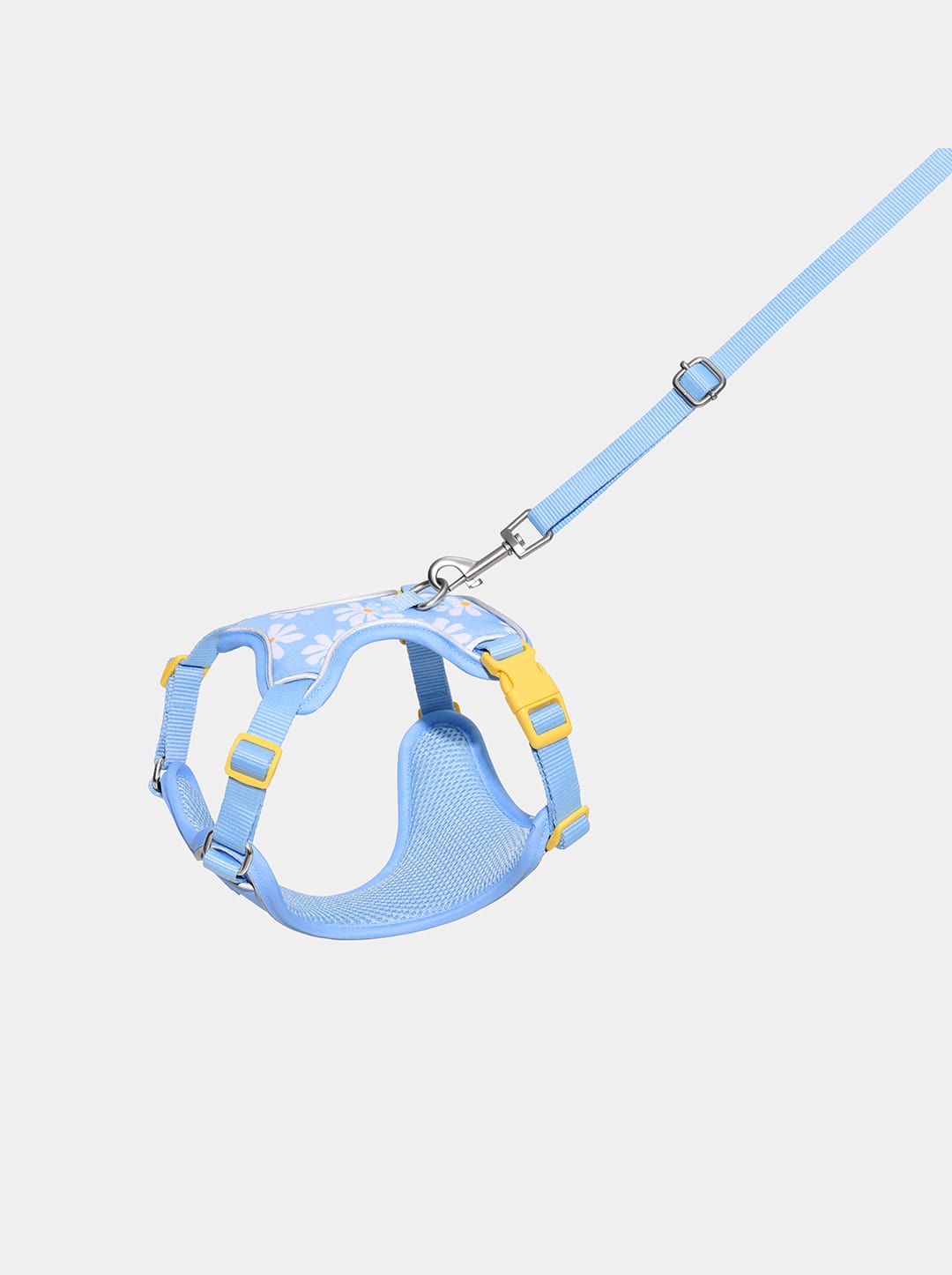 Daisy Pet Harness & Leash Set