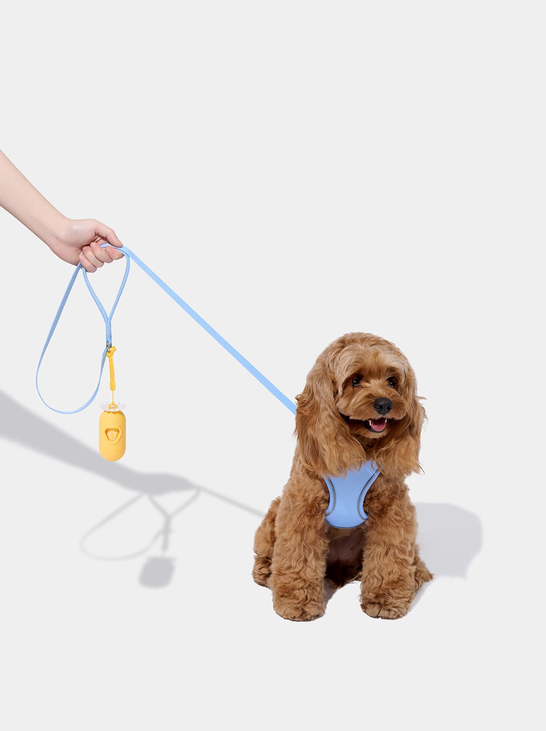 Daisy Pet Harness & Leash Set