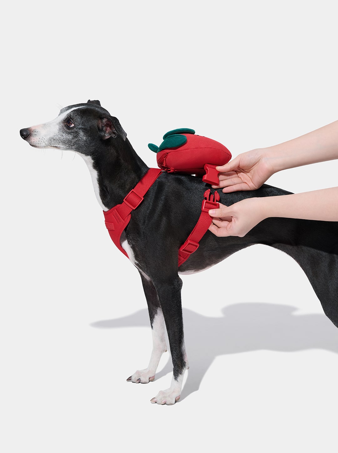 Strawberry Pet Backpack, Harness & Leash Set