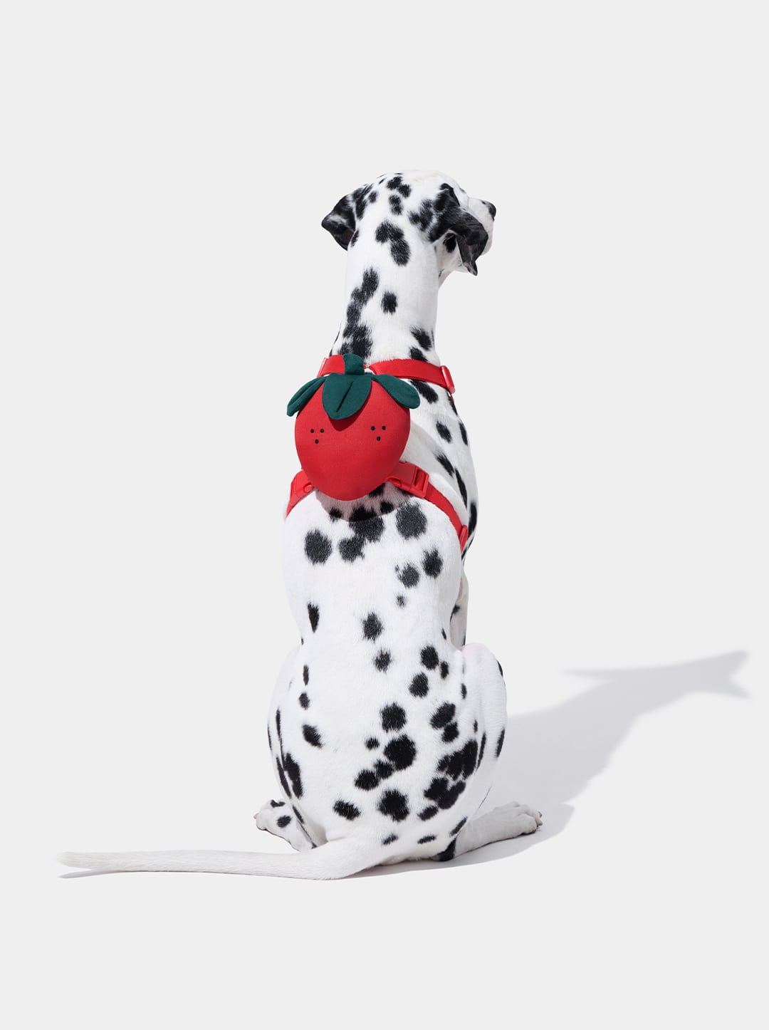 Strawberry Pet Backpack, Harness & Leash Set