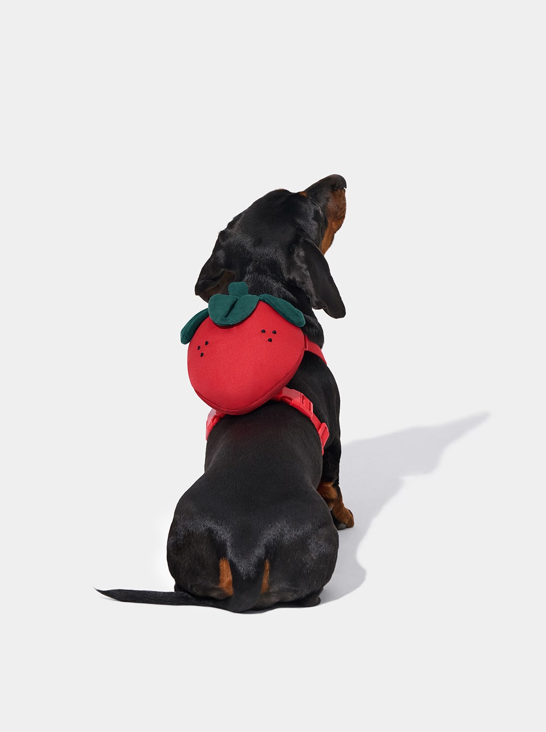 Strawberry Pet Backpack, Harness & Leash Set