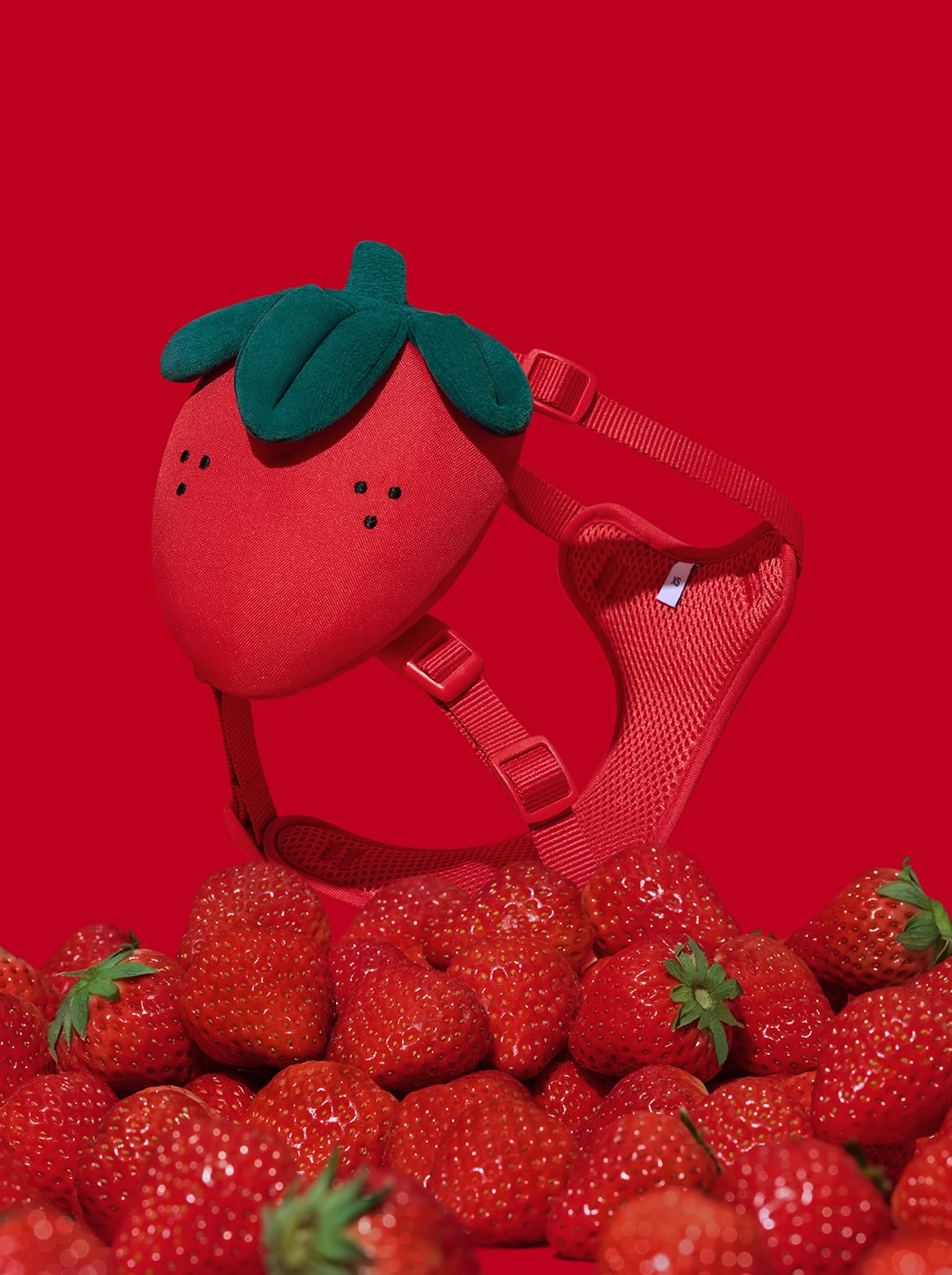 Strawberry Pet Backpack, Harness & Leash Set