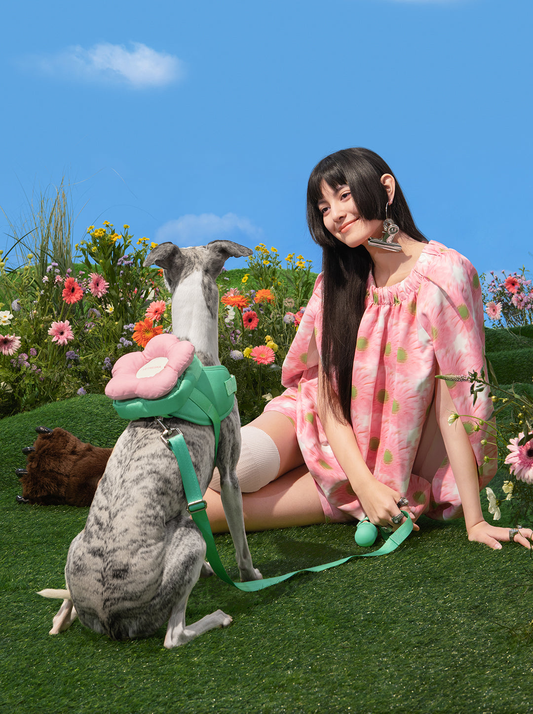 Flora Pet Harness & Backpack 3 in 1 Set