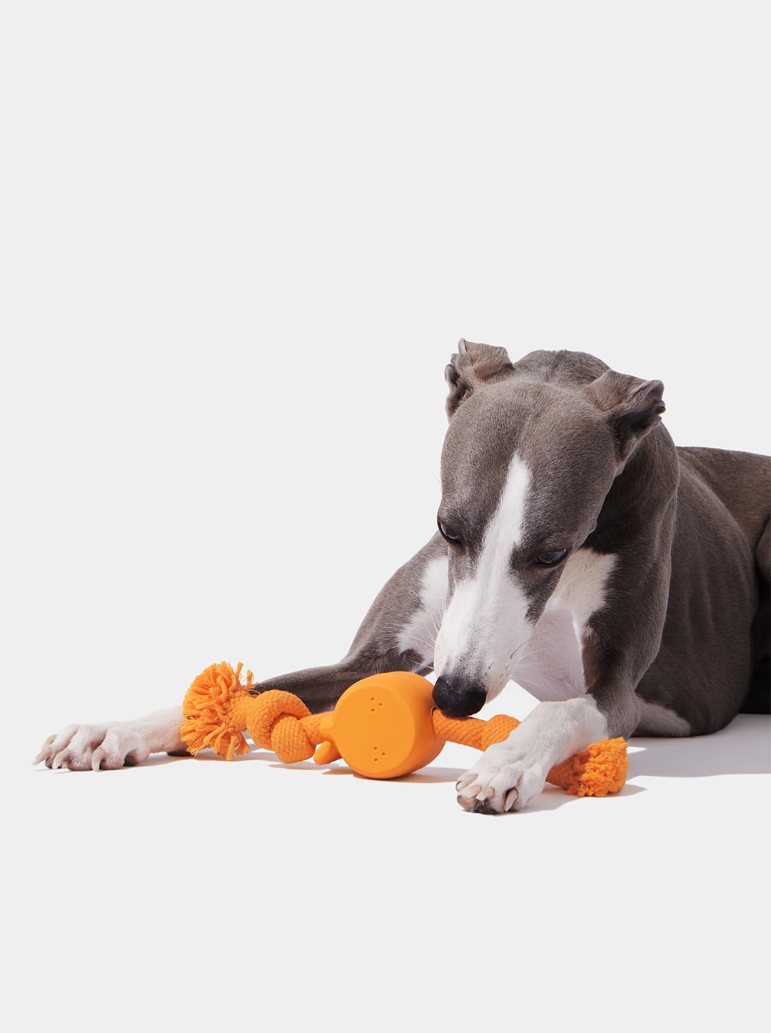 Tangerine Playful Charm Knot Rope Toy