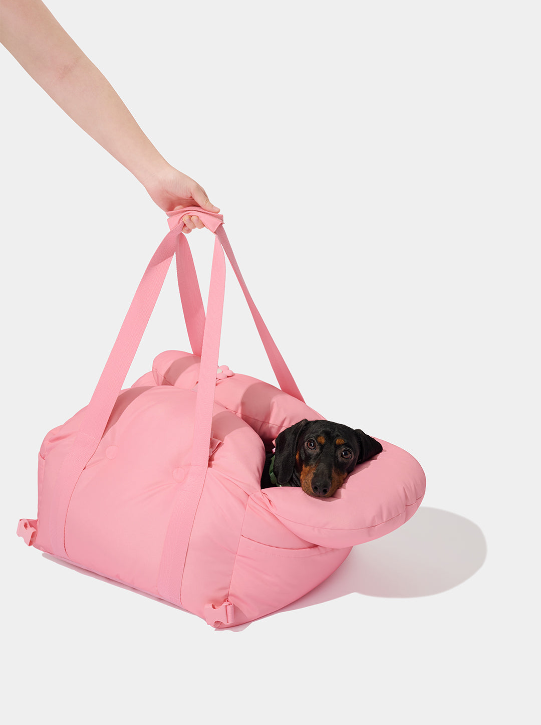 Flora Car Seat Pet Carrier (NEW)