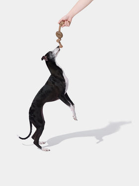 Coffee Playful Charm Knot Rope Toy