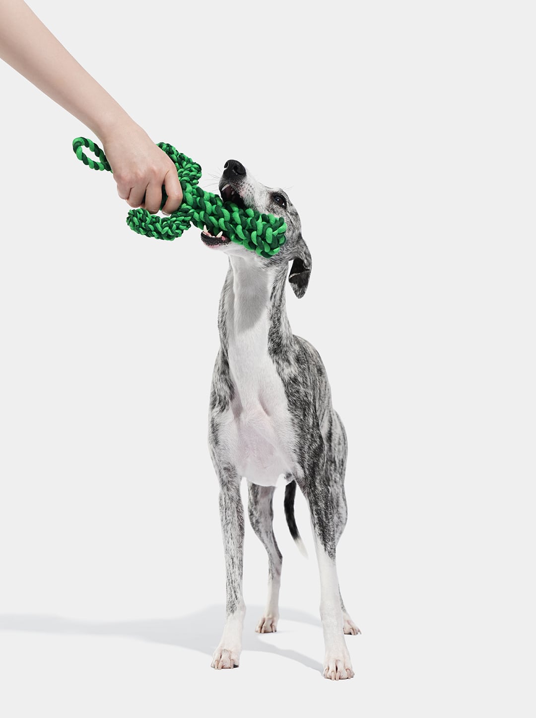 Oasis Cactus Knot Rope Toy