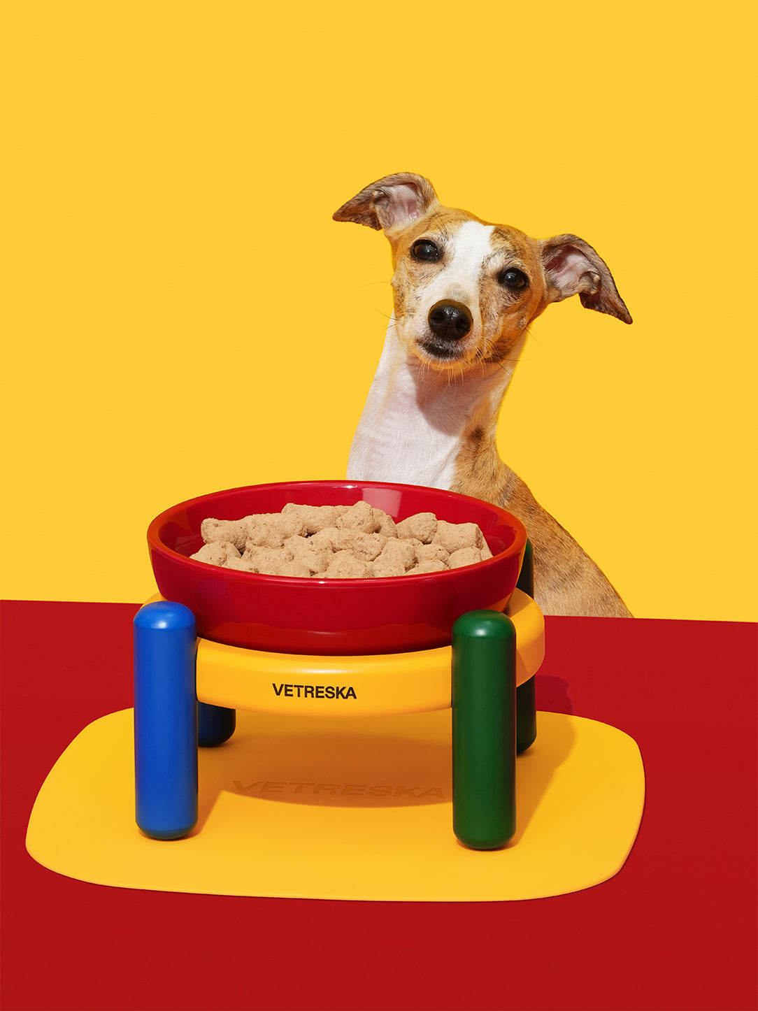 Y of Chroma Pet Bowl & Mat Set