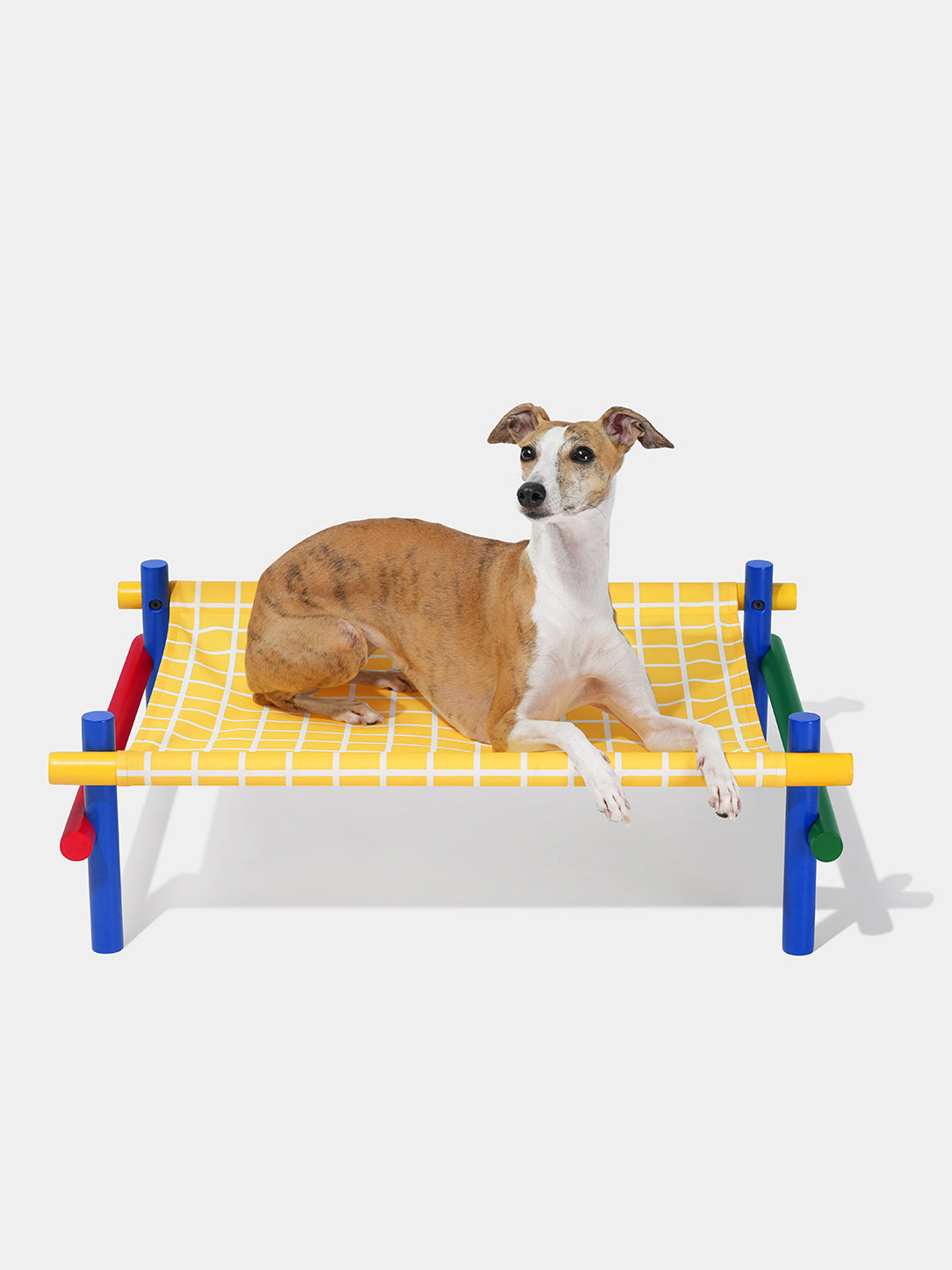 Chroma Pet Bed (Yellow)