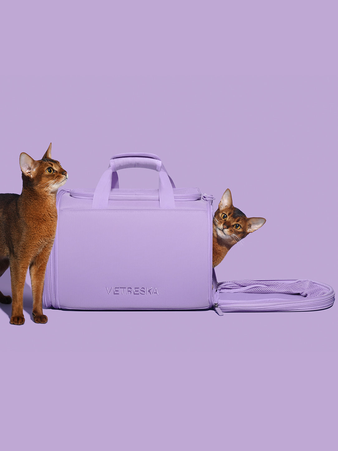 Y Violet Pet Carrier