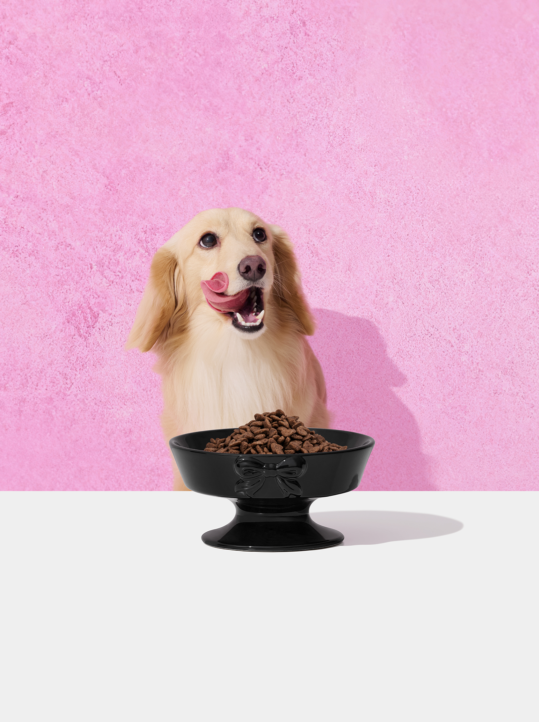 Bow De Noir Ceramic Pet Bowl