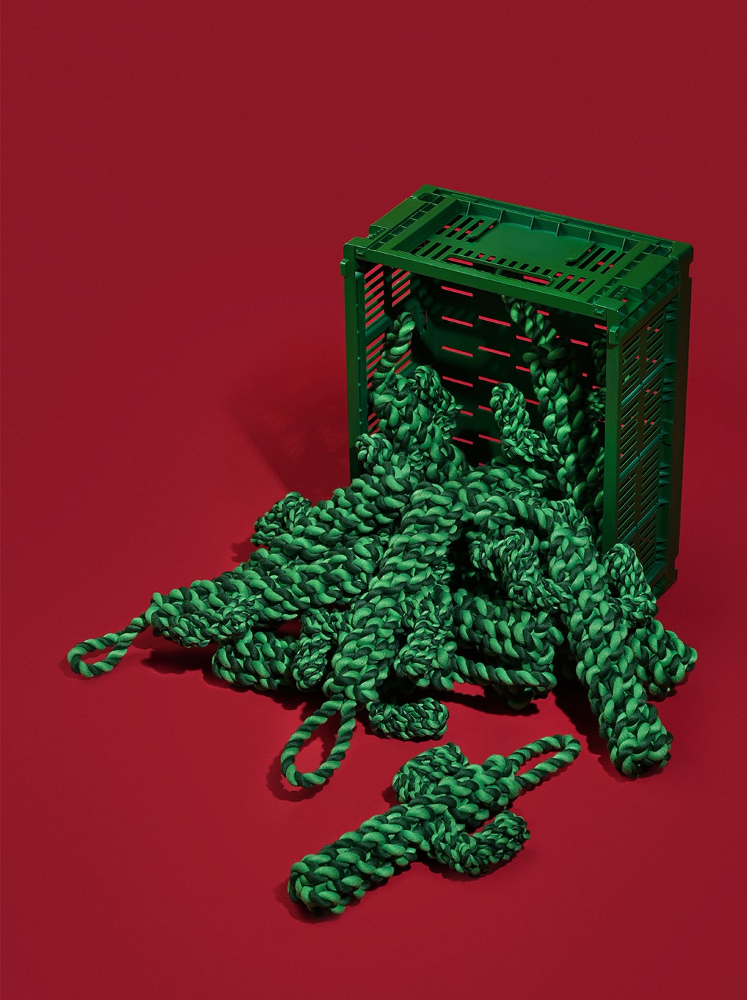 Oasis Cactus Knot Rope Toy