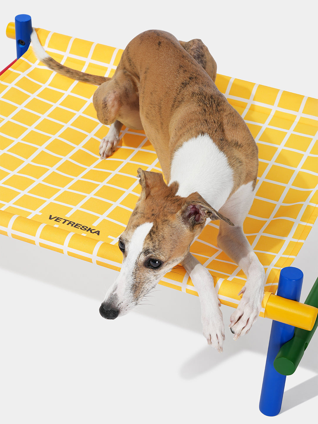 Chroma Pet Bed (Yellow)