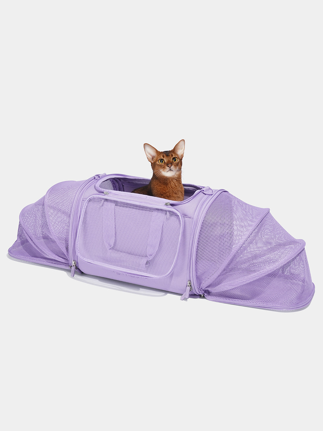 Y Violet Pet Carrier