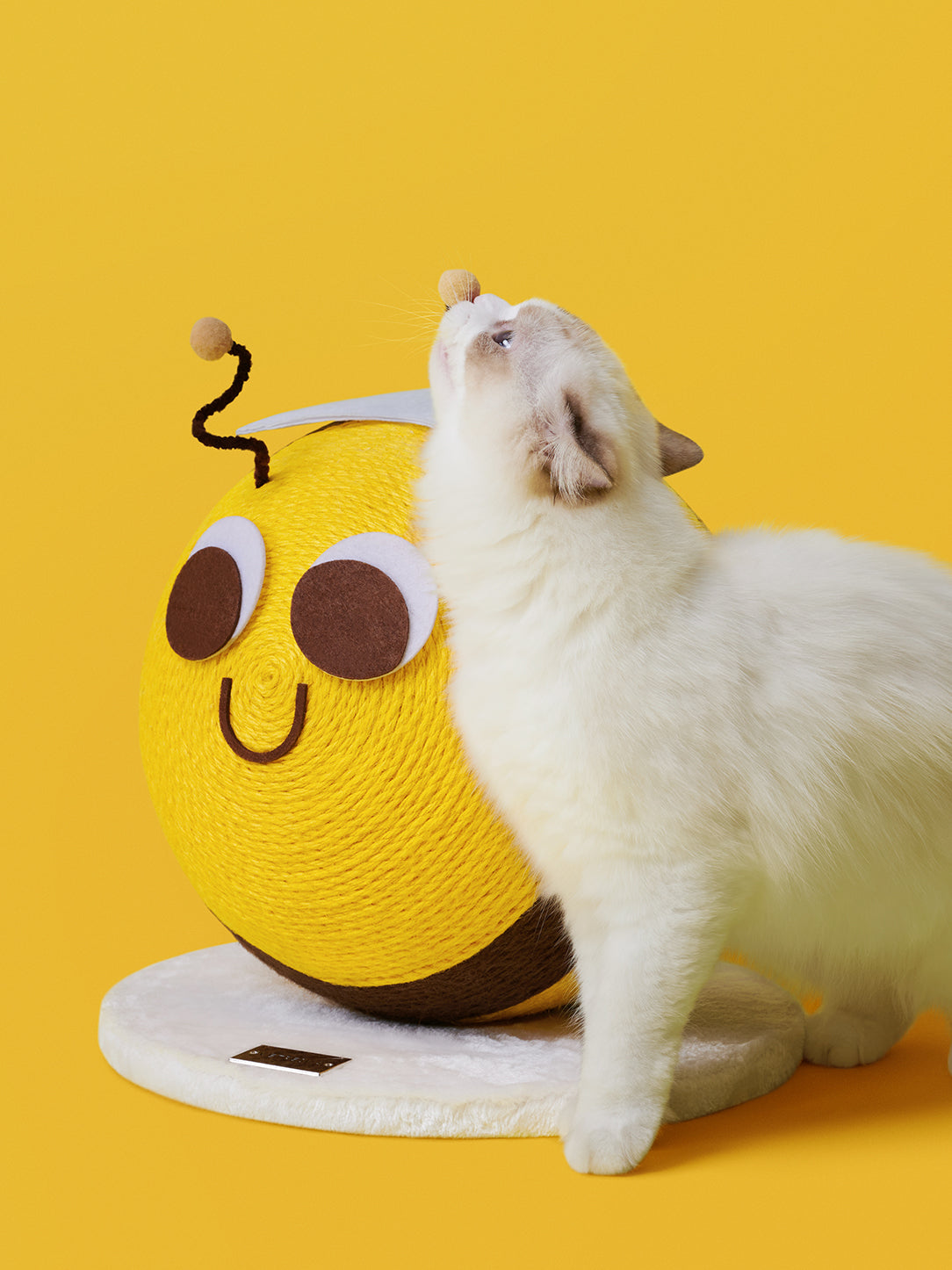 Y Bee Cat Scratching Ball