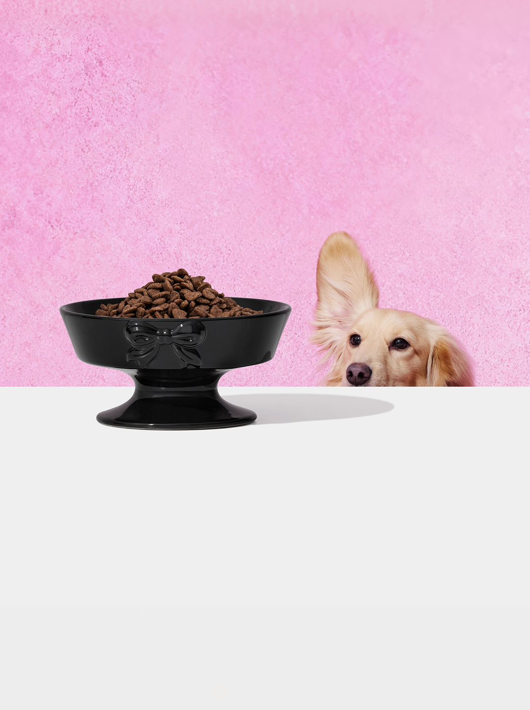 Bow De Noir Ceramic Pet Bowl